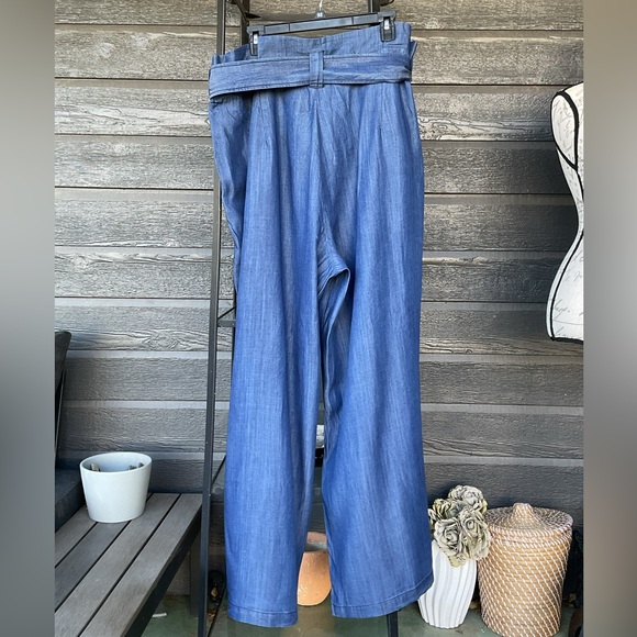 Standards & Practices Super Wide Leg Belted Tencel Pants Size 3X Rinse Color - Picture 3 of 7